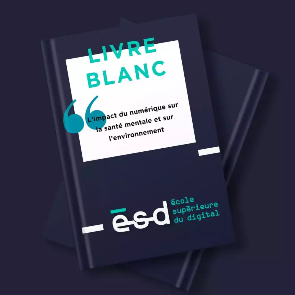 ESD Toulouse