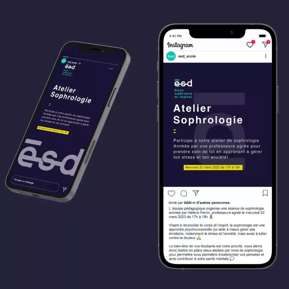 ESD Toulouse